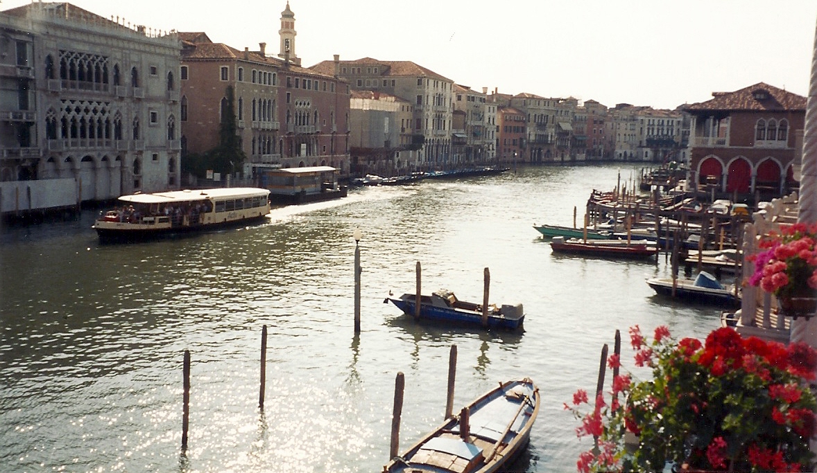 View from breakfast room